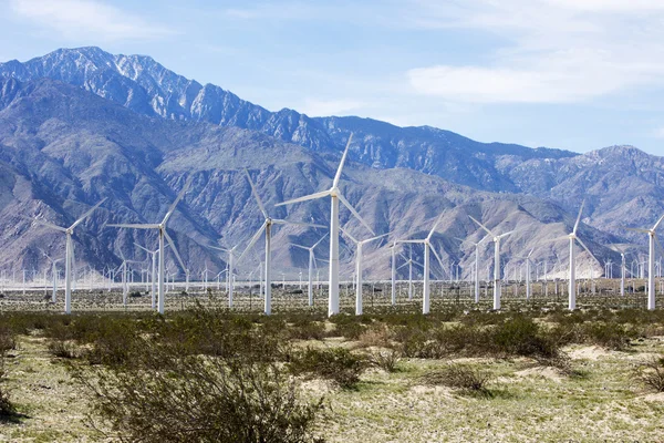 Wind turbines in Southern California — Stock Photo, Image