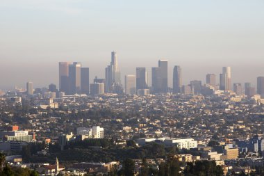 los angeles manzarası