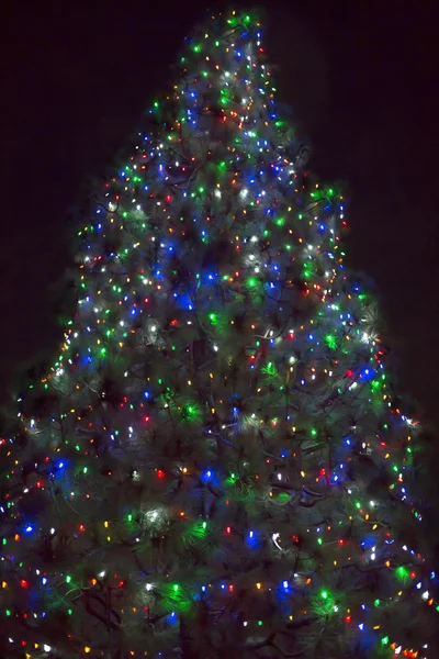 Árvore de natal na noite — Fotografia de Stock