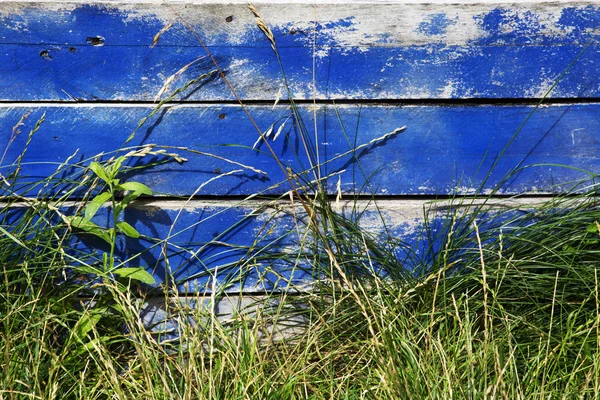 Blue painted wooden fence with grass — Stock Photo, Image