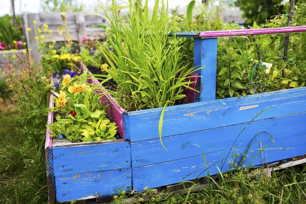 Blumen- und Kräutergarten in einer Holzkiste — Stockfoto