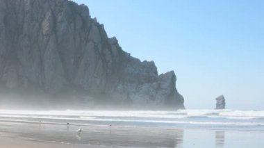 Morro Bay kum plajındaki Kaliforniya'da büyük rock