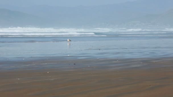 Primo piano delle onde blu a Morro Bay, California — Video Stock