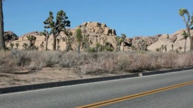 Ağaçları ve kayaları Joshua Tree national Park California