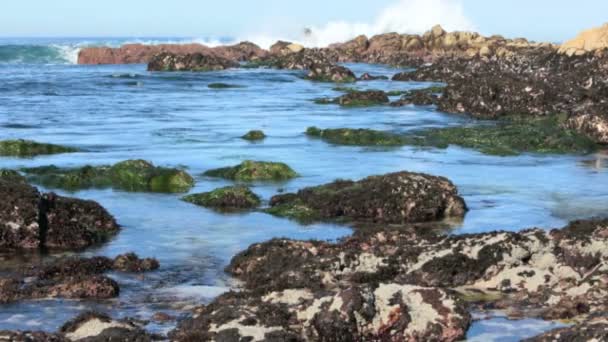 Küste in großer Sur. pazifische Meereswellen gegen Klippen. — Stockvideo