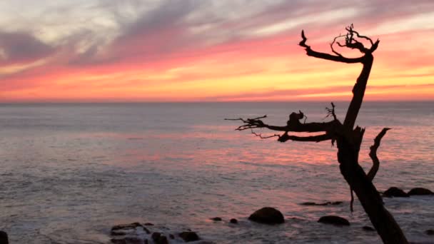 Beau coucher de soleil sur l'océan Pacifique — Video