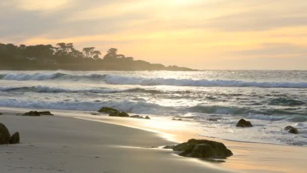 Берегова лінія в Big Sur. Тихий океан хвилі — стокове відео