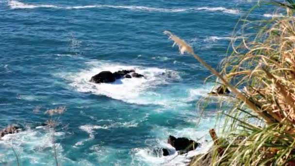 Küste in großer Sur. pazifische Meereswellen gegen Klippen. — Stockvideo