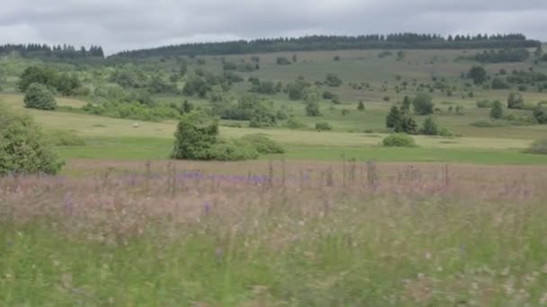 Conduzir ao longo do campo da Baviera. Campos verdes, flores e fortalezas . — Vídeo de Stock