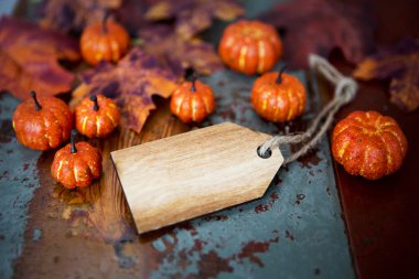 kabaklar ve yaprakları ile boş ahşap etiketi
