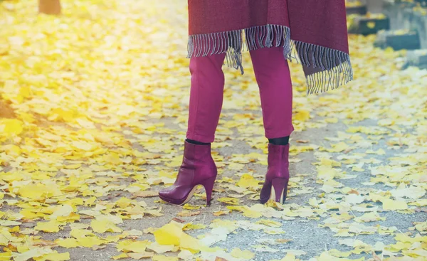 Sonbaharda bir yol kadının bacaklarına closeup — Stok fotoğraf