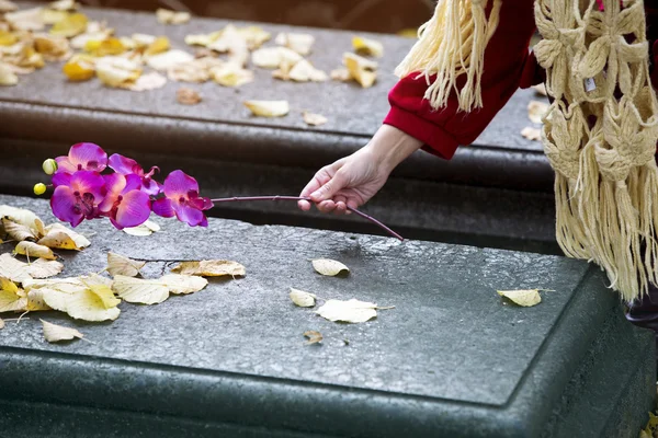 Крупный план руки, возлагающей цветы на могилу — стоковое фото