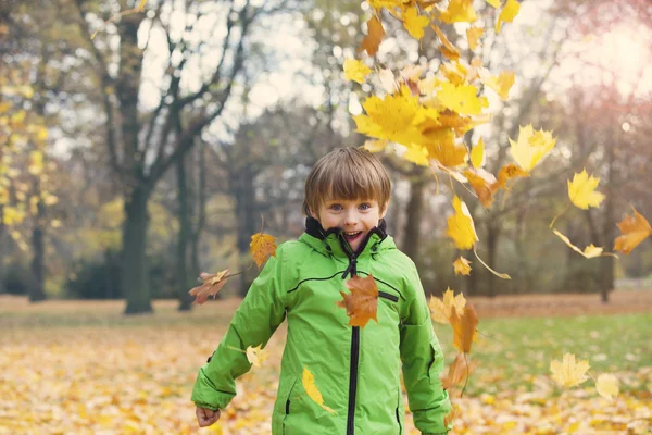 男孩在公园的秋天 — 图库照片