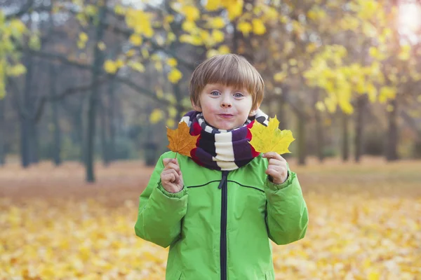 Niño en el parque en el otoño — Foto de Stock