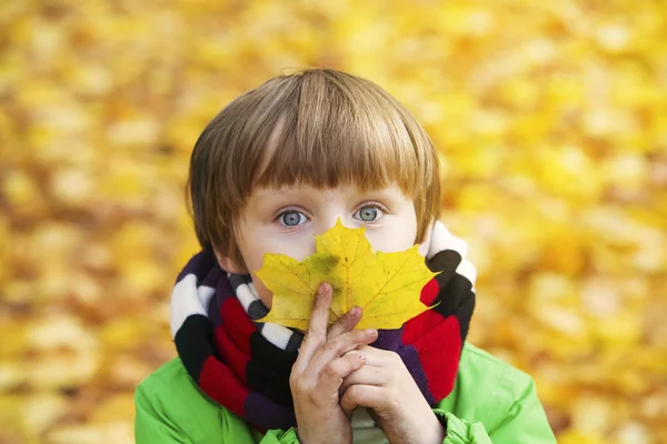 Niño en el parque en el otoño con una hoja —  Fotos de Stock