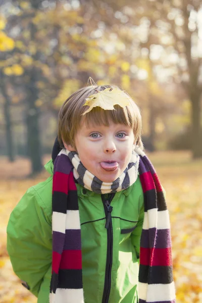 Boy in park in the fall — Stock Photo, Image