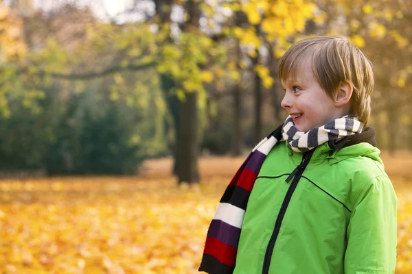 Chłopiec w parku na jesieni — Zdjęcie stockowe
