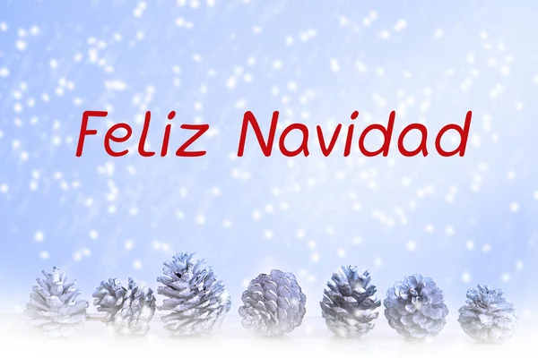 스페인어 ' Feliz Navidad' (메리 크리스마스) — 스톡 사진