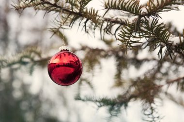 Noel top daldan asılı