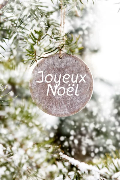 프랑스 ' Joyeux Noel' (메리 크리스마스) 지점에 매달려 — 스톡 사진