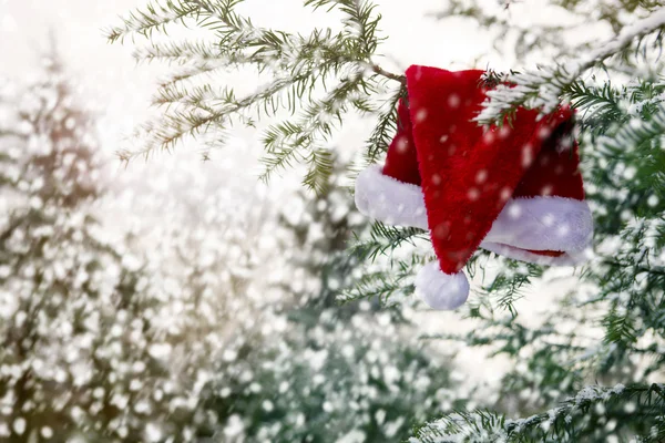 Red Santa hat hanging on a branch in the snow — Stock Photo, Image