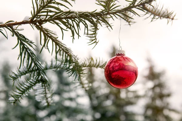 Bola de Natal pendurado no ramo — Fotografia de Stock