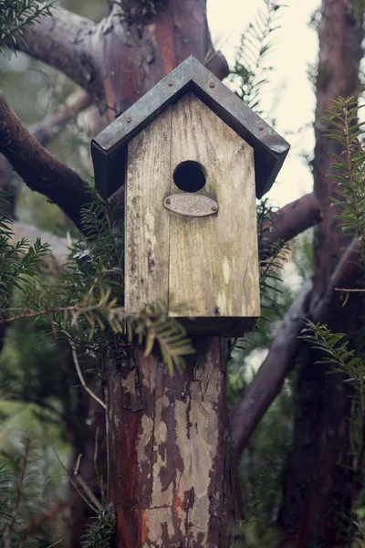 Maison d'oiseaux sur un arbre — Photo