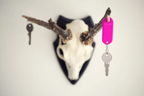 Nyckeln hänger från hjorthorn på vägg — Stockfoto