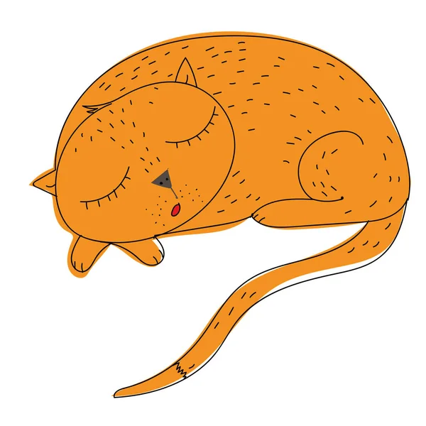 Кошка Спит Белом Фоне — стоковый вектор