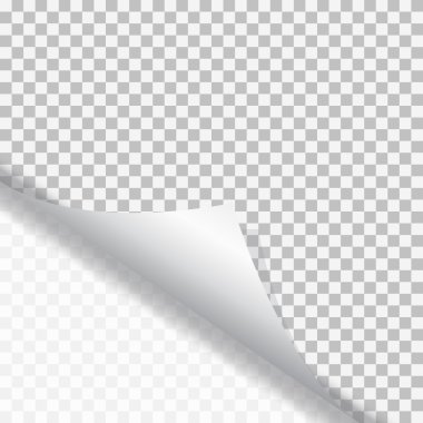 Sayfa curl gölge ile