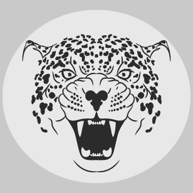 Leopar portre. Kızgın vahşi büyük kedi