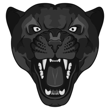 Panter portre. Kızgın vahşi büyük kedi