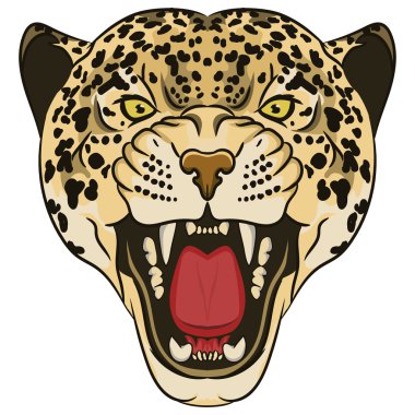 Leopar portre. Kızgın vahşi büyük kedi