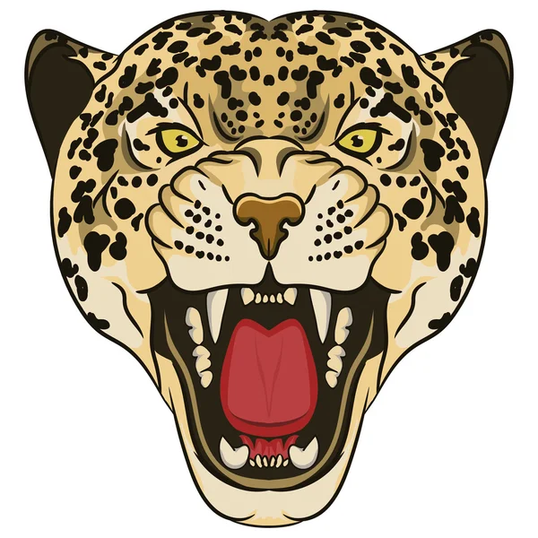 Retrato de leopardo. Irritado selvagem grande gato —  Vetores de Stock