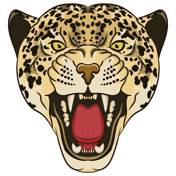 Cheetah face Vector Art Stock Images | Depositphotos