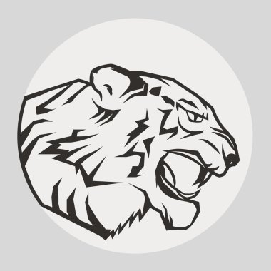 Panter portre. Kızgın vahşi büyük kedi