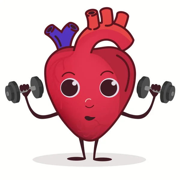 Персонаж сердца с гантели делать фитнес упражнения, концепция здравоохранения. Вектор — стоковый вектор