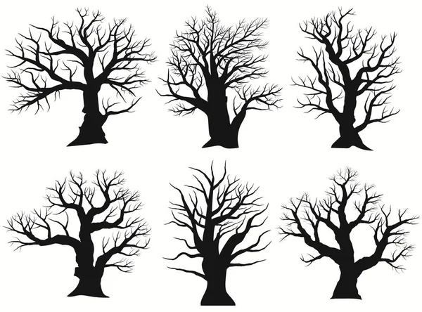 Silhouette dell'albero. Profilo in rovere nudo nero. Immagine dettagliata. Vettore — Vettoriale Stock