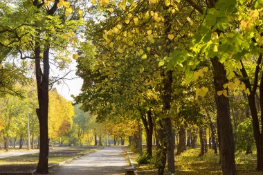 sonbahar park sokakta