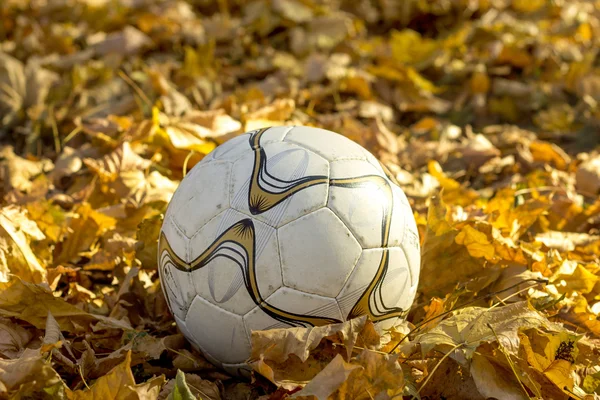 Herbstfußball — Stockfoto