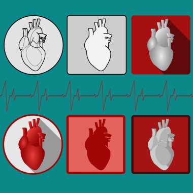 İnsan kalp simgesi kardiyogram ile - vektör