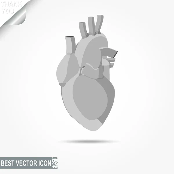 Icona del cuore umano - illustrazione vettoriale — Vettoriale Stock