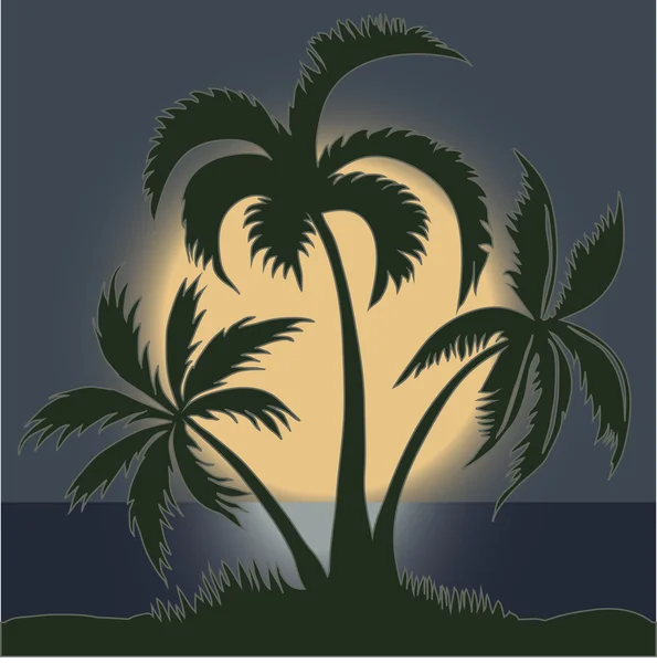 Palms in the Moonlight on the Beach - vector — ストックベクタ