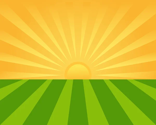 Salida del sol en el campo verde — Vector de stock