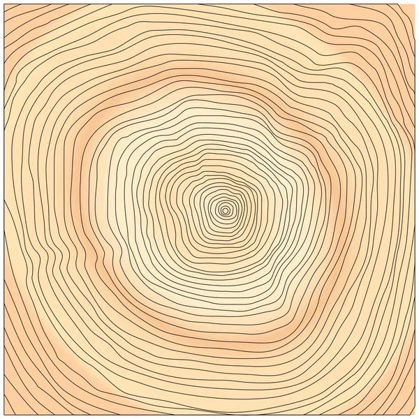 Kroužky stromů — Stockový vektor