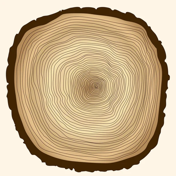 Anillos de árboles, tronco cortado — Vector de stock