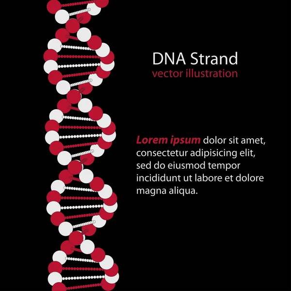 DNA Strand, kode genetik - Stok Vektor