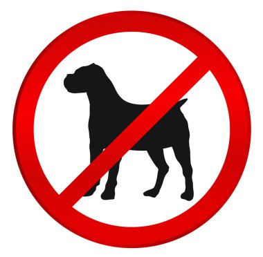 köpek iz yok