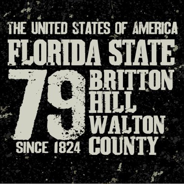 Florida tişört moda tipografi