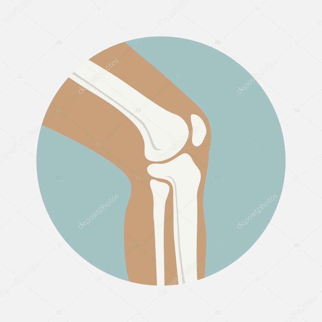 Human knee joint icon, logo for orthopedic clinic